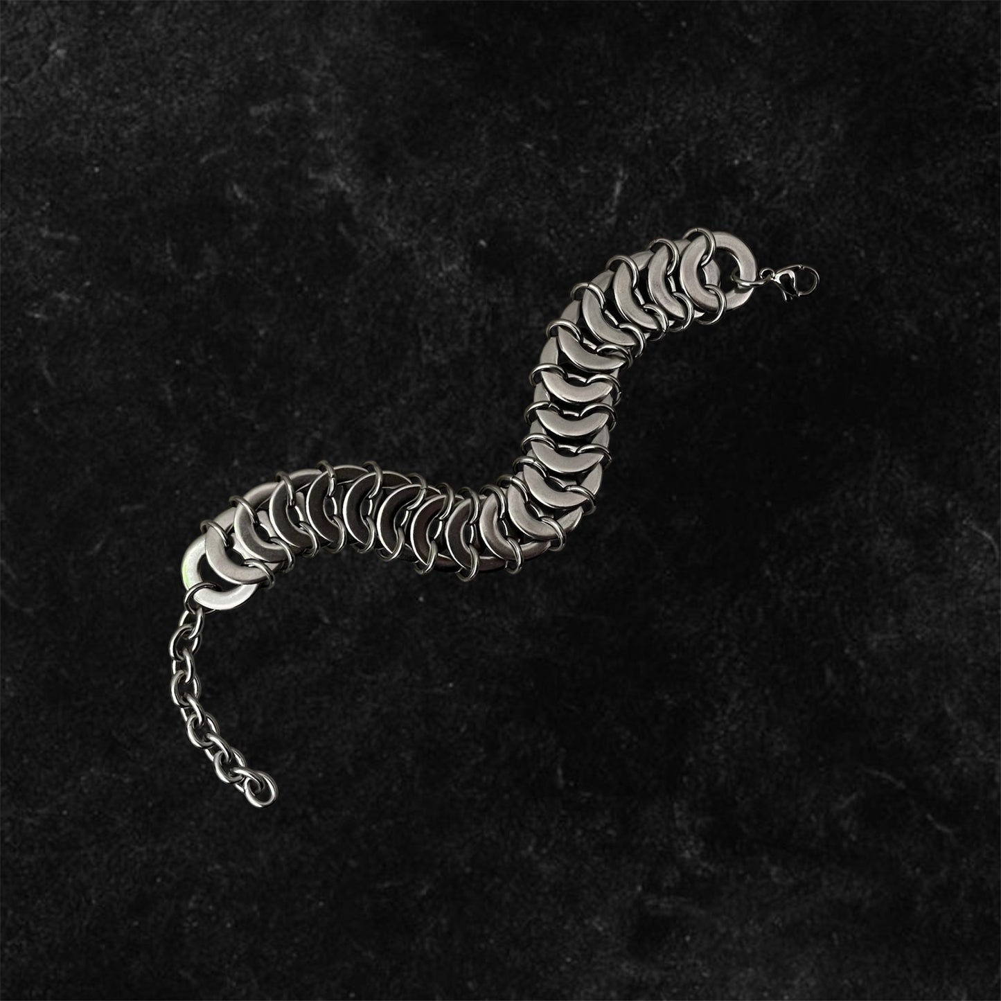 VERTEBRATE・Bracelet